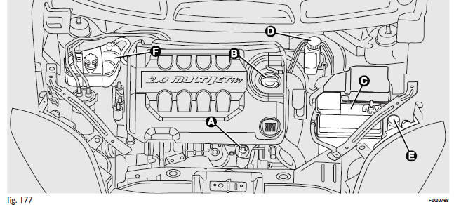 Fiat Bravo. Comprobación de los niveles