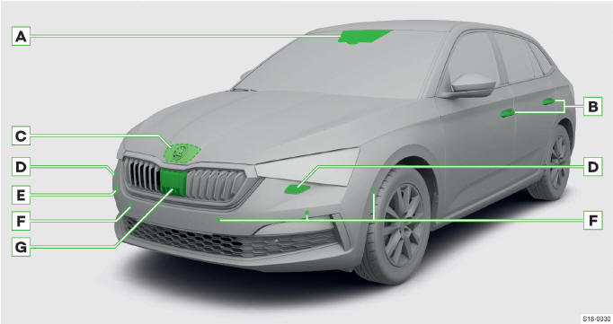 Skoda Scala. Área delantera del vehículo