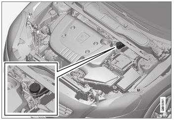 Volvo V40. Refrigerante - nivel 